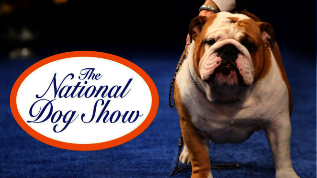 The National Dog Show 2024: Akc National Dog Show 2024 ticket price