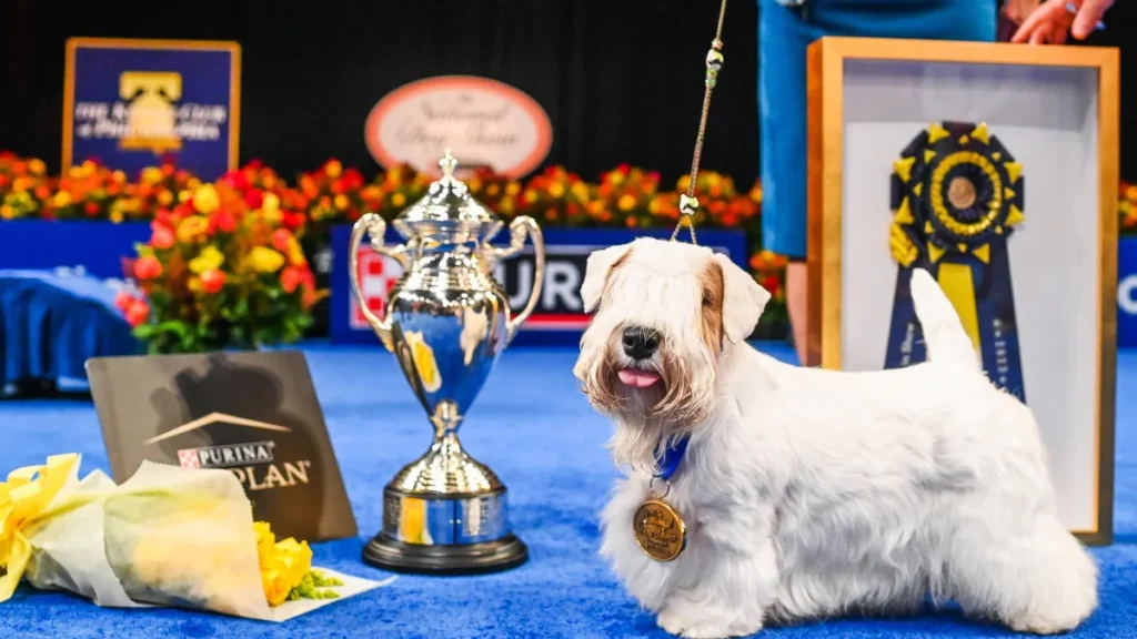 The National Dog Show 2024: Akc National Dog Show 2024 ticket price