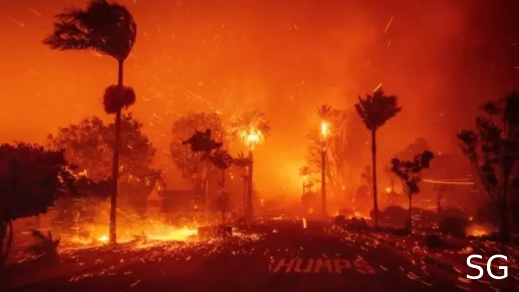 Devastation Strikes Los Angeles: Wildfires Leave Destruction and Displacement in Their Wake