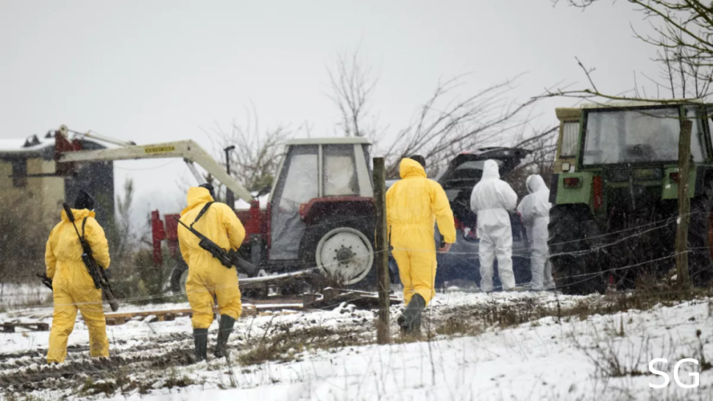 Germany Reports First Foot-and-Mouth Disease Outbreak in Nearly 40 Years
