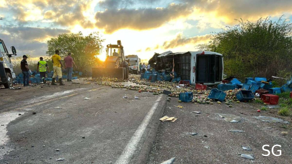 Bus Crash in Brazil Killed 12 University Students, Injures 19