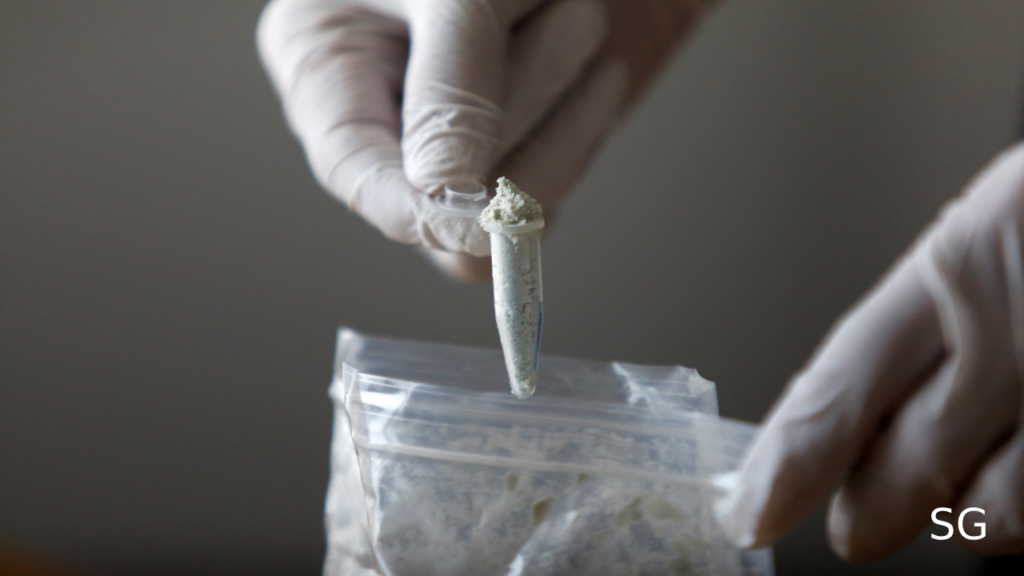 U.S. Aid Freeze Disrupts Mexico's Fight Against Fentanyl